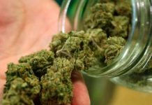 ¡Clase alucín! Se corta el miembro tras consumo excesivo de marihuana ¡Clase alucín! Se corta el miembro tras consumo excesivo de marihuana