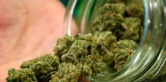 ¡Clase alucín! Se corta el miembro tras consumo excesivo de marihuana