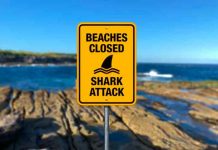 Policía australiana recupera restos humanos tras sangriento ataque de tiburón