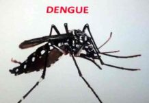 Timor Oriental vive epidemia de dengue en niños