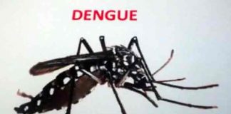 Timor Oriental vive epidemia de dengue en niños