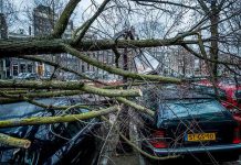 Tormenta Franklin, la tercera en azotar y causar daños en Países Bajos Tormenta Franklin, la tercera en azotar y causar daños en Países Bajos