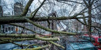Tormenta Franklin, la tercera en azotar y causar daños en Países Bajos