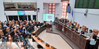 Sesión en la Asamblea Nacional para ver temas de ley