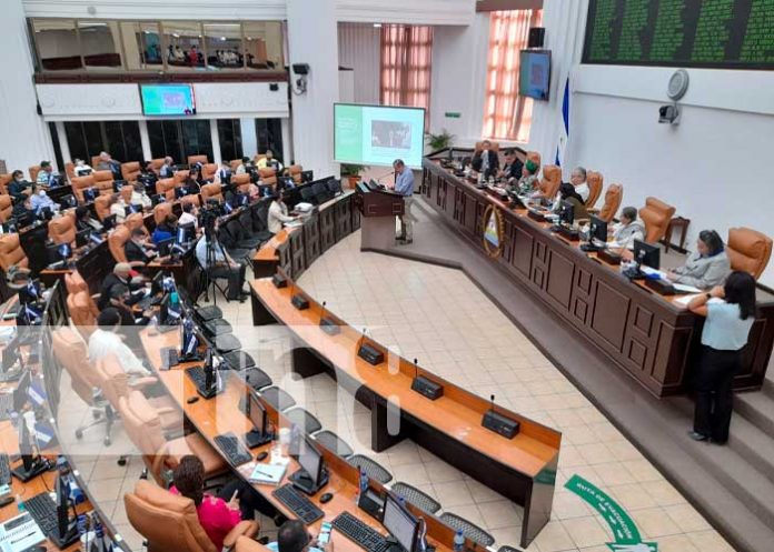 Sesión en la Asamblea Nacional para ver temas de ley