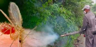 Salud de Ecuador investiga caso de verruga peruana en Guayaquil
