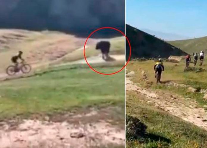 Ciclista de montaña es brutalmente embestido