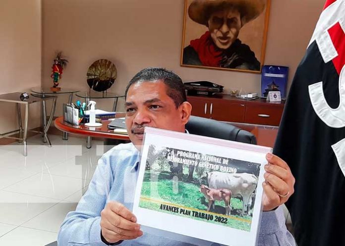 Nicaragua, aumenta sus volúmenes y los precios internacionales favorecen a los principales productos de exportación