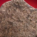 Subastan roca de Marte, pero nadie la compra por ser muy cara