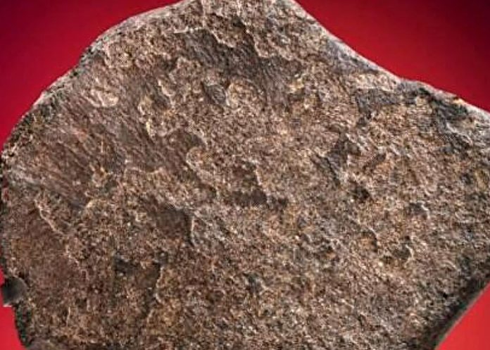 Subastan roca de Marte, pero nadie la compra por ser muy cara