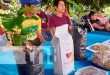 Certamen Emprende Café 2022 se desarrolla con éxito en Ticuantepe Feria del INTA con productores de café de Ticuantepe y El Crucero