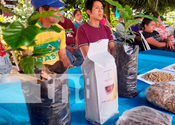 Feria del INTA con productores de café de Ticuantepe y El Crucero