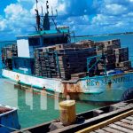 Costa Caribe Norte inicia la veda de la langosta Espinoza Costa Caribe Norte: Inicia la veda de la langosta Espinoza
