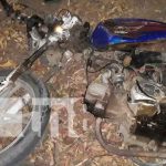 Motociclista grave luego de chocar contra un caballo en la Isla de Ometepe Motociclista grave luego de chocar contra un caballo en la Isla de Ometepe