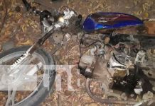 Motociclista grave luego de chocar contra un caballo en la Isla de Ometepe