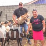 Bonos de cabras y ovejas a productores de Nueva Segovia Bonos de cabras y ovejas a productores de Nueva Segovia