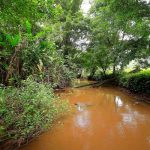 Lluvias interrumpe la búsqueda de supervivientes tras accidente aéreo en China.