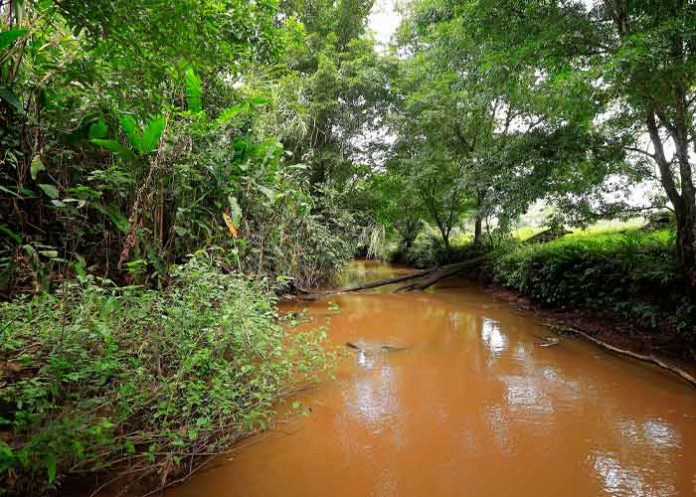 1 Lluvias interrumpe la búsqueda de supervivientes tras accidente aéreo en China.