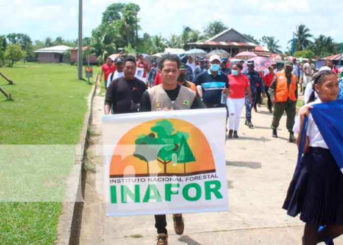 1 Caribe Sur realizó el lanzamiento del Plan de Prevención de Incendios Forestales