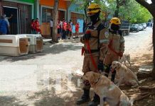 Familias de la capital Managua, realizan ejercicio multiamenazas