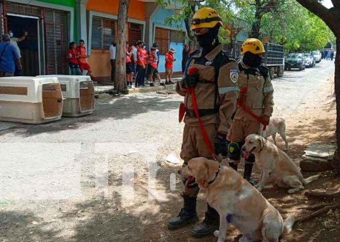 Familias de la capital Managua, realizan ejercicio multiamenazas