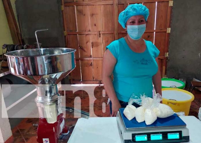 Emprendedores de Jinotega son protagonistas de los programas de Gobierno