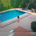 Niña rescata a su hermanita de 2 años de ahogarse en la piscina Niña rescata a su hermanita de 2 años de ahogarse en la piscina