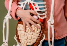 Estudio científico afirma que los órganos del cuerpo envejecen a distintos ritmos Estudio científico afirma que los órganos del cuerpo envejecen a distintos ritmos