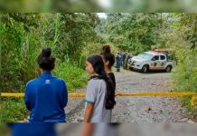 Colombia: El último paseo de su vida, con su mejor amigo canino