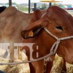 Inauguran la feria ganadera de Matiguás 2022 Inauguran la feria ganadera de Matiguás 2022