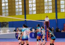 Panteras y Jaguares se enfrentan en semifinales de vóleibol en Managua Panteras y Jaguares se enfrentan en semifinales de vóleibol en Managua