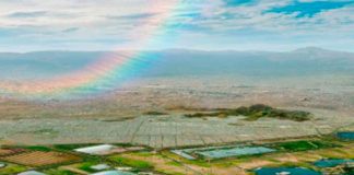 El Lago de Texcoco es declarado nueva área natural protegida