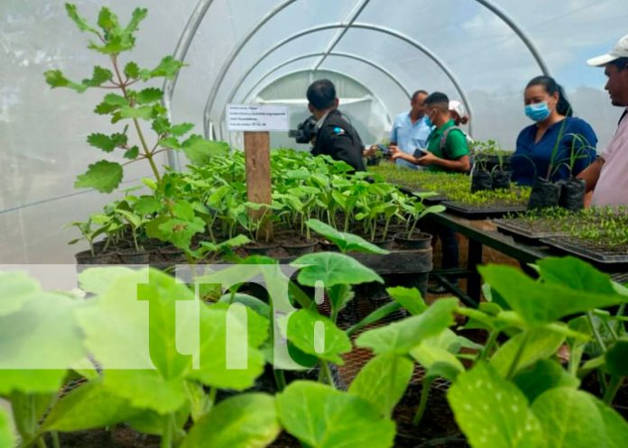 2 Inauguran Micro túnel en la Universidad Bicu en Bilwi, Caribe Norte