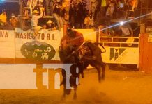 Todo un éxito el segundo día de la feria Hatofer 2022 en Camoapa Todo un éxito el segundo día de la feria Hatofer 2022 en Camoapa