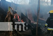 Familia queda sin nada al quemarse su vivienda en León Familia queda sin nada al quemarse su vivienda en León