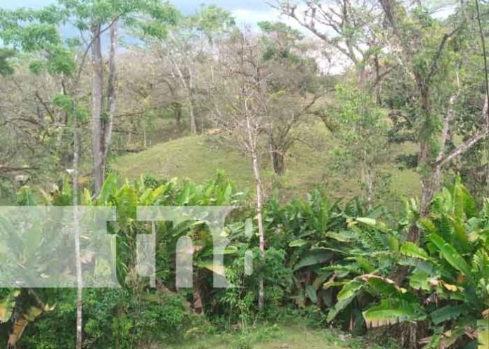 MARENA declara reserva silvestre privada la Finca 