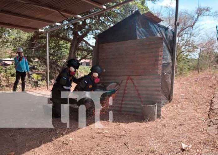 3 Concluye con éxito el primer Ejercicio Nacional 2022 en Nicaragua