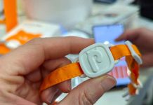 ¡Lo último! crean una «Mi Band» para los michis Mi Band creada por PurrSong