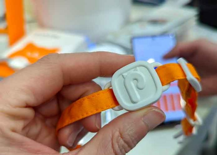 5 Mi Band creada por PurrSong