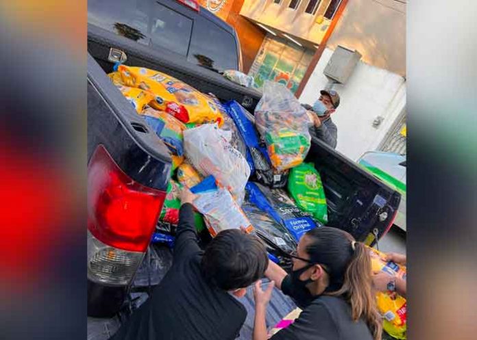 Reparten comida de perro en México