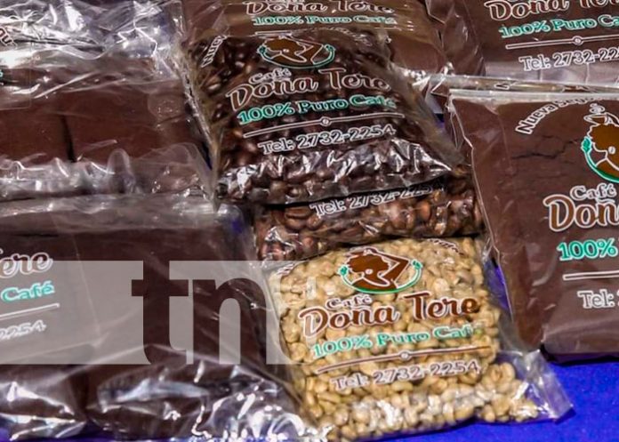 INTA apoya a productores de café de Nueva Segovia