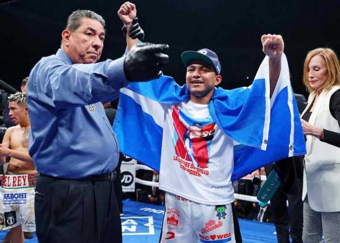 román, chocolatito, gonzález, the, ring, boxeo,