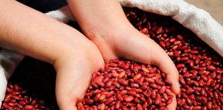 ¡Buenas noticias para los Nicas! Frijol rojo baja de precio según MIFIC