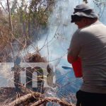 Controlan incendio forestal en Peña Inculta en la Isla de Ometepe Controlan incendio forestal en Peña Inculta en la Isla de Ometepe
