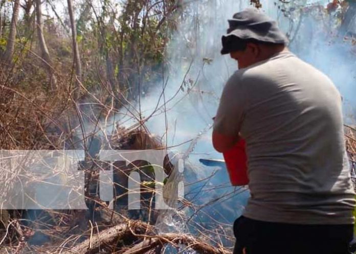 Controlan incendio forestal en Peña Inculta en la Isla de Ometepe