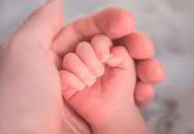 Bebé «milagroso» nació con dos cabezas, tres manos y dos corazones Bebé "milagroso" nació con dos cabezas, tres manos y dos corazones