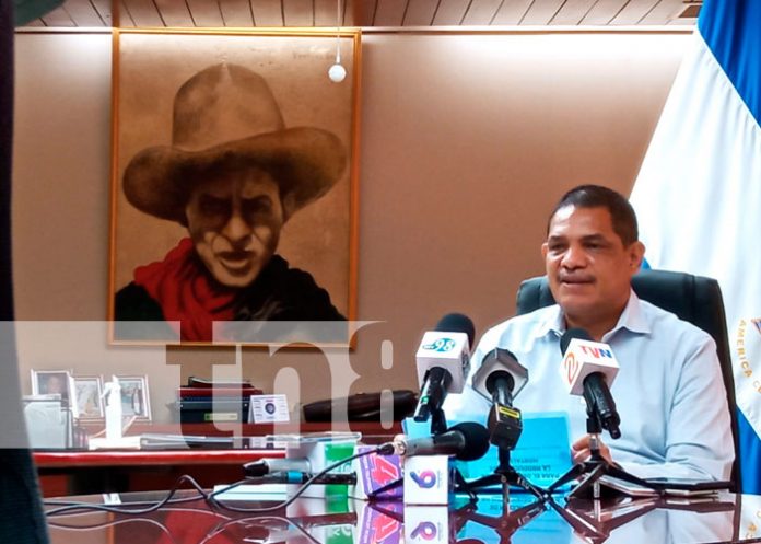 Canasta de exportaciones tiene nuevos rubros protagónicos