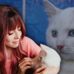 Gastó 25 mil dólares para clonar a su mascota que perdió hace 5 años