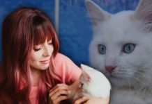 Gastó 25 mil dólares para clonar a su mascota que perdió hace 5 años