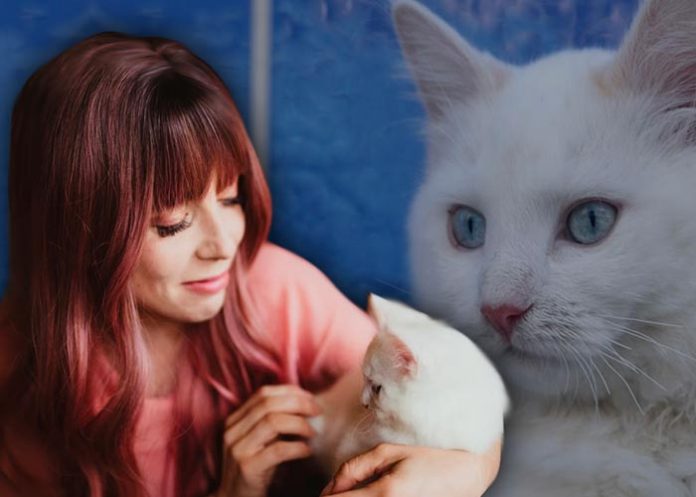 Gastó 25 mil dólares para clonar a su mascota que perdió hace 5 años